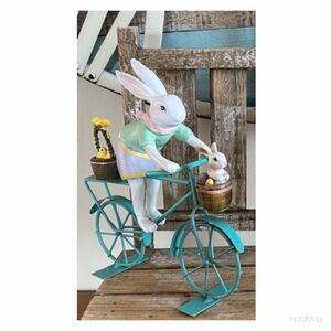 NEW Charming Rabbit Bunny Figurine on Riding Bicycle Spring Easter Decor